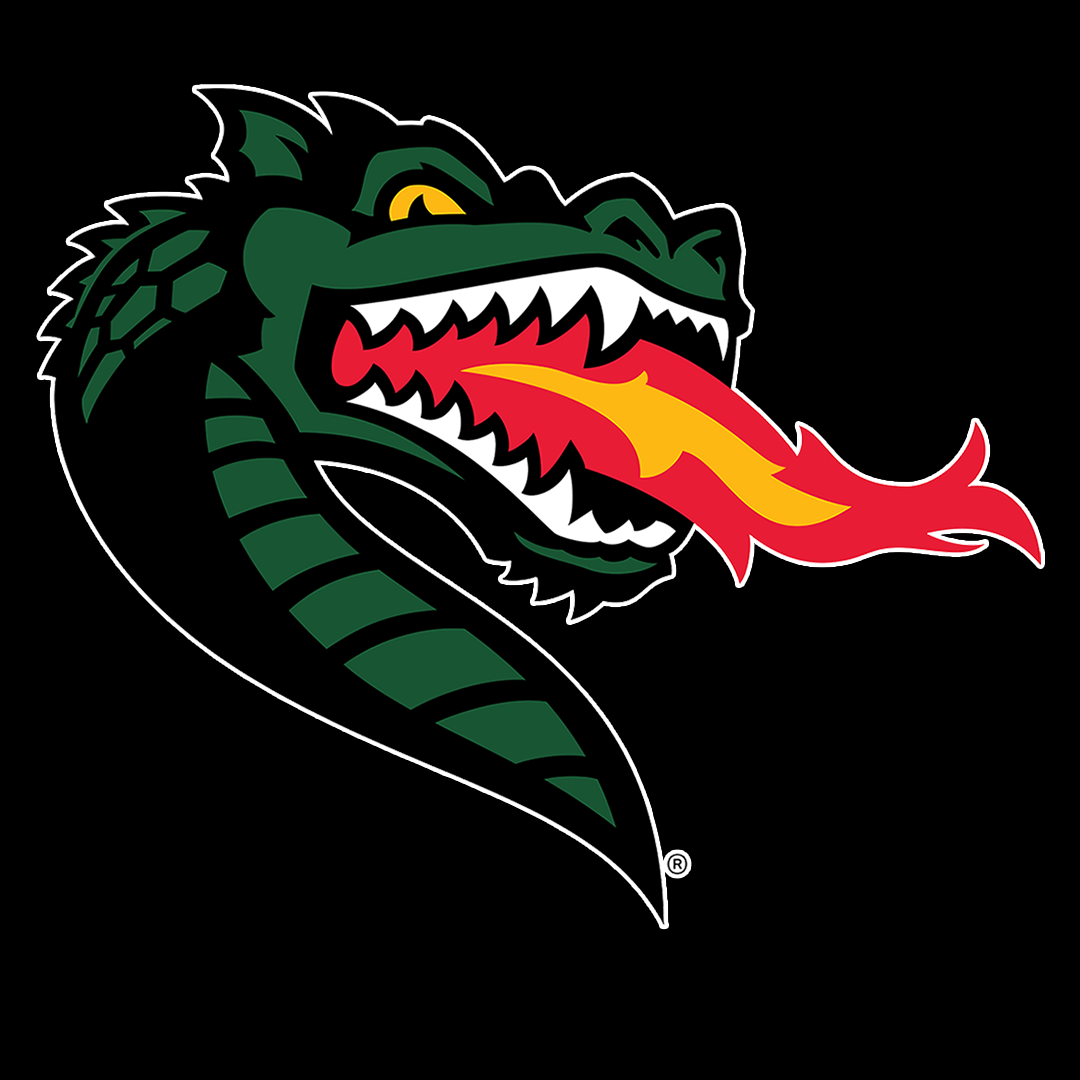 University of Alabama Birmingham